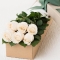 send 6 white roses in box to cebu in philippines